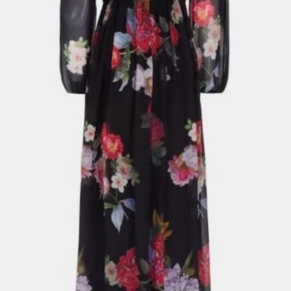 Adrianna Papell Floral Chiffon Maxi Dress Gown Sz 10 Dark Romantic Garden Party - Picture 9 of 15